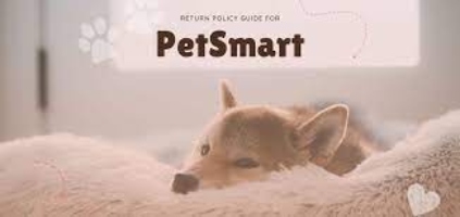 Petsmart return policy