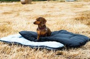 Wool-Comfort Dog Beds