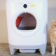 The 6 Best Litter Boxes That Automatically Clean Their Own