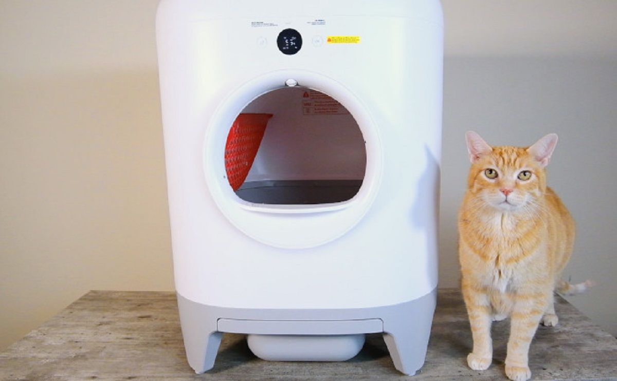 The 6 Best Litter Boxes That Automatically Clean Their Own