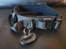 What Is the YIP Tracker Dog Tag's Mechanism?