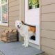 The Top Smart Pet Doors for 2021 (And Why You Should Have One)