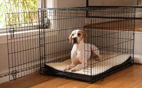 Find the appropriate size crate with our guide to dog crates.