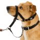 PetSmart Dog Training Collars
