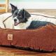 Choosing a Kong Bed For Dogs