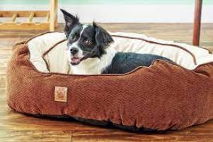 Choosing a Kong Bed For Dogs