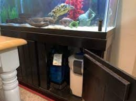 8 Best Filters For Turtle Tanks