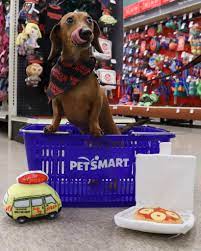 PetSmart Maple Grove - Everything You Need to Know