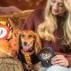 Petsmart Introduces Harry Potter Themed Clothing and Toys For Dogs
