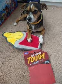 Top Paw Dog Toys