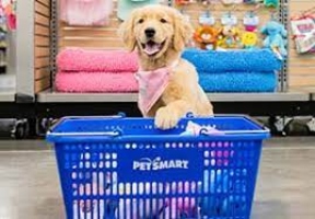 Benefits of Buying Pets From PetSmart