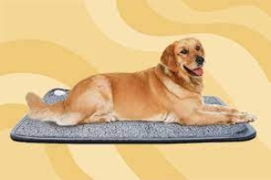 Choosing Great Choice Dog Pads For Your Puppy
