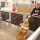 PetSmart Opens New Store in Lakeville, Minnesota