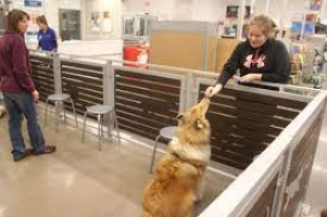 PetSmart Opens New Store in Lakeville, Minnesota