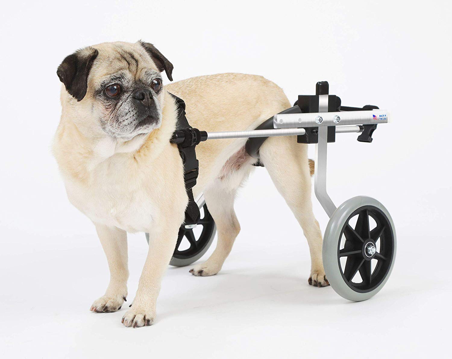 Wheelchairs for Dogs